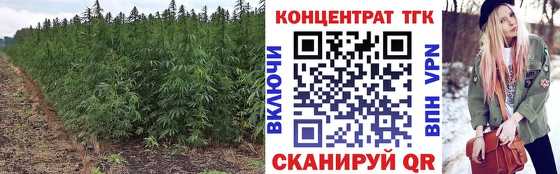 Дистиллят ТГК гашишное масло  купить закладку  Бирюч 