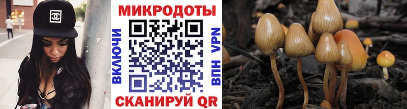 Псилоцибиновые грибы Magic Shrooms KRAKEN площадка Telegram Бирюч